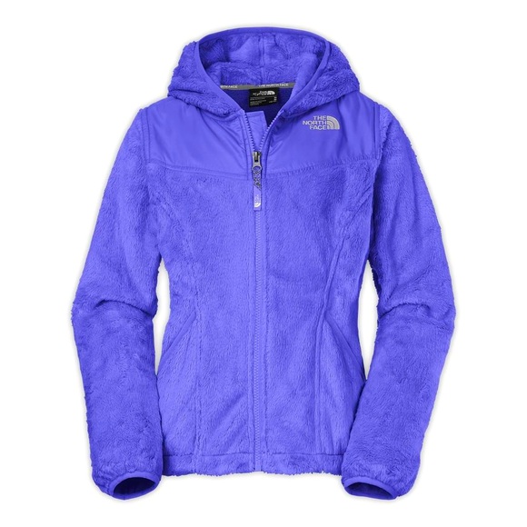 The North Face bluish purple zip up Hoodie - Picture 1 of 11